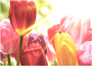 3308维多利亚线路检测中心(中国)有限公司