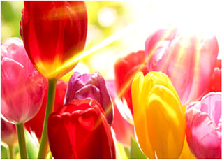 3308维多利亚线路检测中心(中国)有限公司