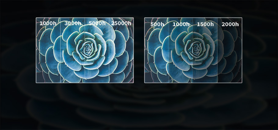 3308维多利亚线路检测中心(中国)有限公司